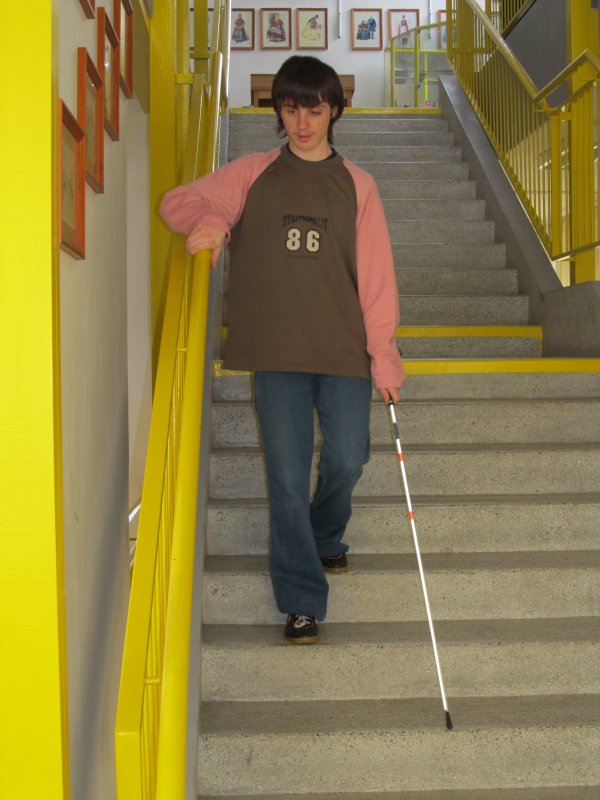 Gyengénlátók Általános Iskolája, egységes Gyógypedagógiai Módszertani Intézménye és Diákotthona