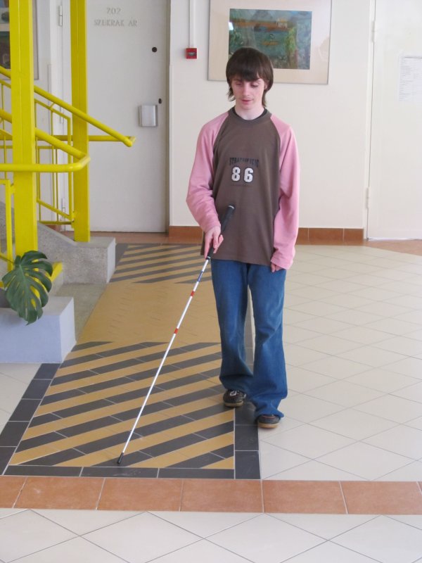 Gyengénlátók Általános Iskolája, egységes Gyógypedagógiai Módszertani Intézménye és Diákotthona