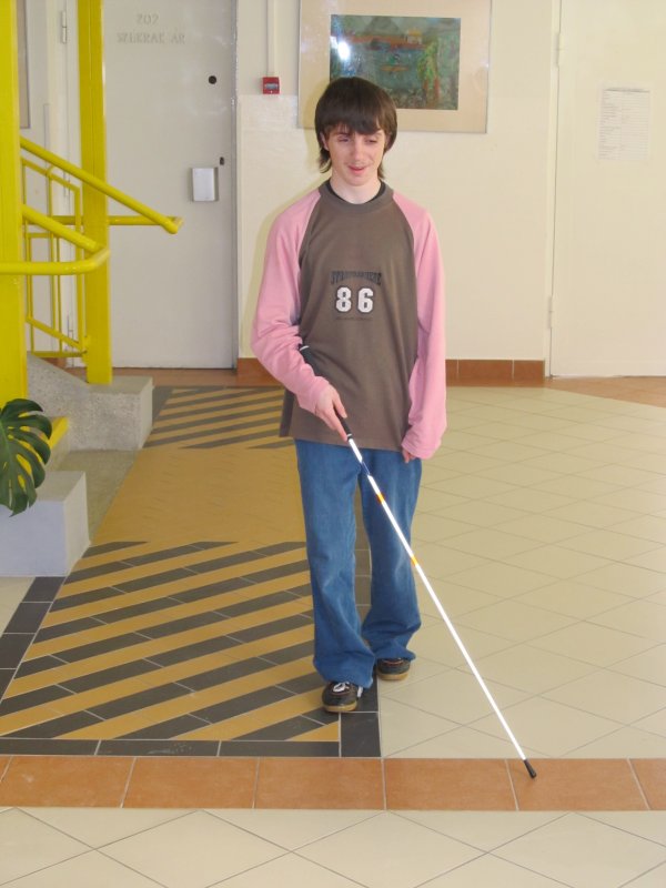 Gyengénlátók Általános Iskolája, egységes Gyógypedagógiai Módszertani Intézménye és Diákotthona