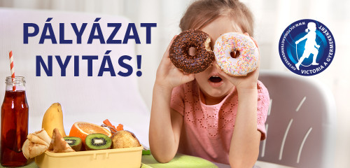 Megjelent 8. pályázati kiírásunk