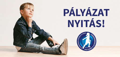 Megjelent 11. pályázati kiírásunk